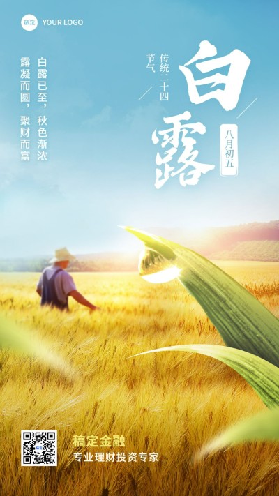 白露金融保险节气祝福问候实景风手机海报