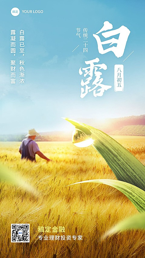 白露金融保险节气祝福问候实景风手机海报