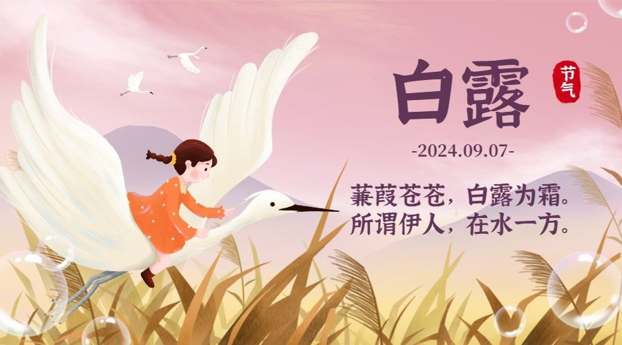 白露节气祝福白鹭鸟手绘横版海报预览效果
