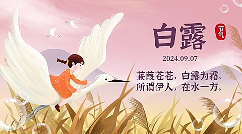 白露节气祝福白鹭鸟手绘横版海报