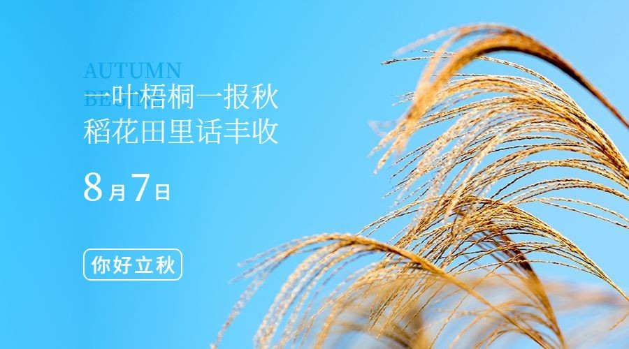 立秋节气祝福秋天实景横版海报