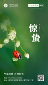 模板缩略图