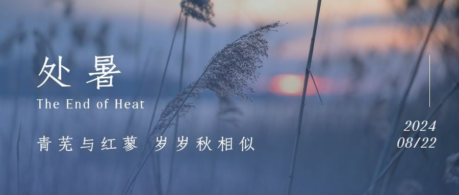 处暑节气祝福问候实景公众号首图预览效果