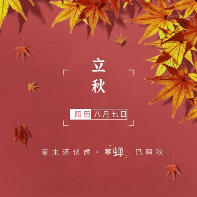 立秋节气祝福秋天红墙枫叶方形海报