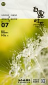 模板缩略图