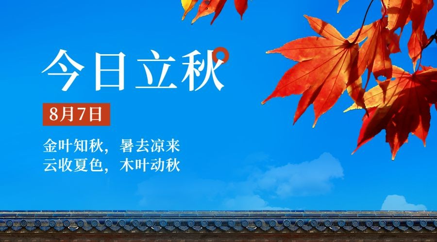 立秋节气祝福问候实景枫叶横版海报