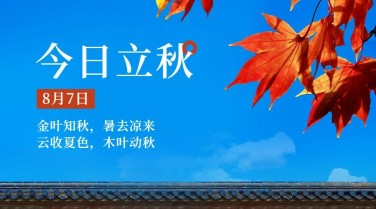 立秋节气祝福问候实景枫叶横版海报