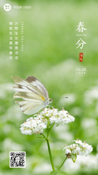 春分节气祝福蝴蝶花朵手机海报