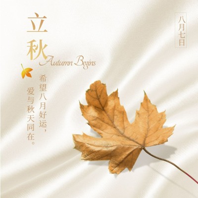 立秋节气祝福枫叶秋天实景方形海报