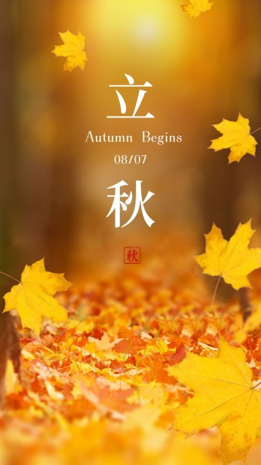 立秋问候简约枫叶黄色实景落叶预览效果
