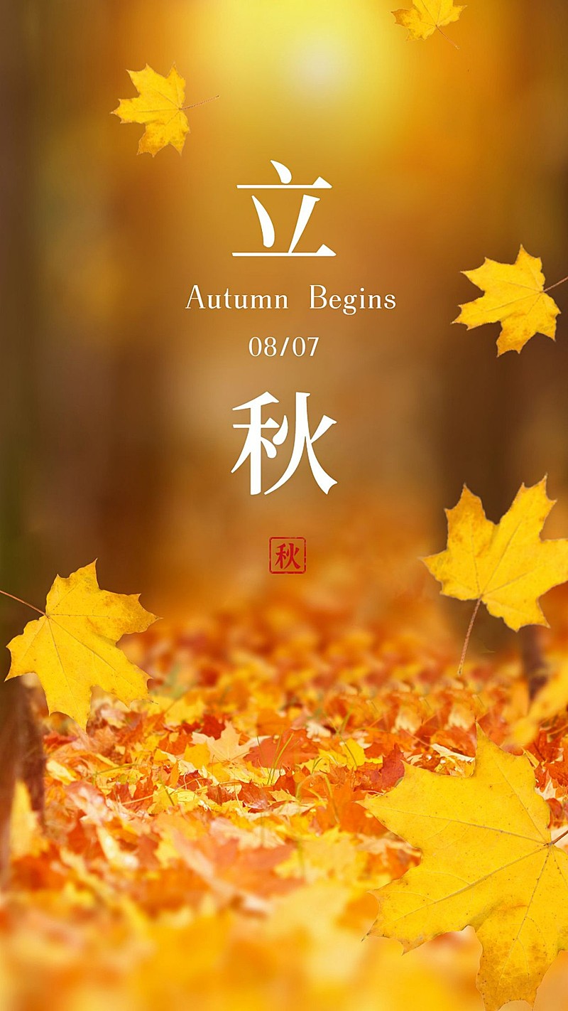 立秋问候简约枫叶黄色实景落叶