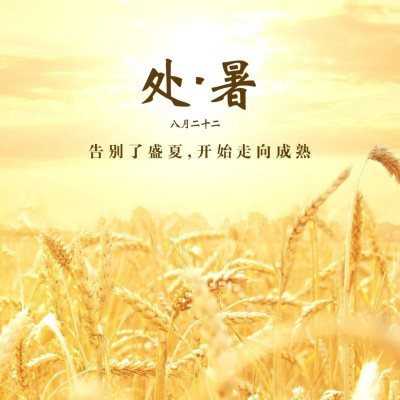处暑节气祝福问候秋天实景方形海报