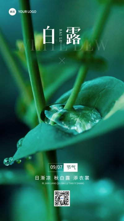 企业实景感白露节气祝福手机海报