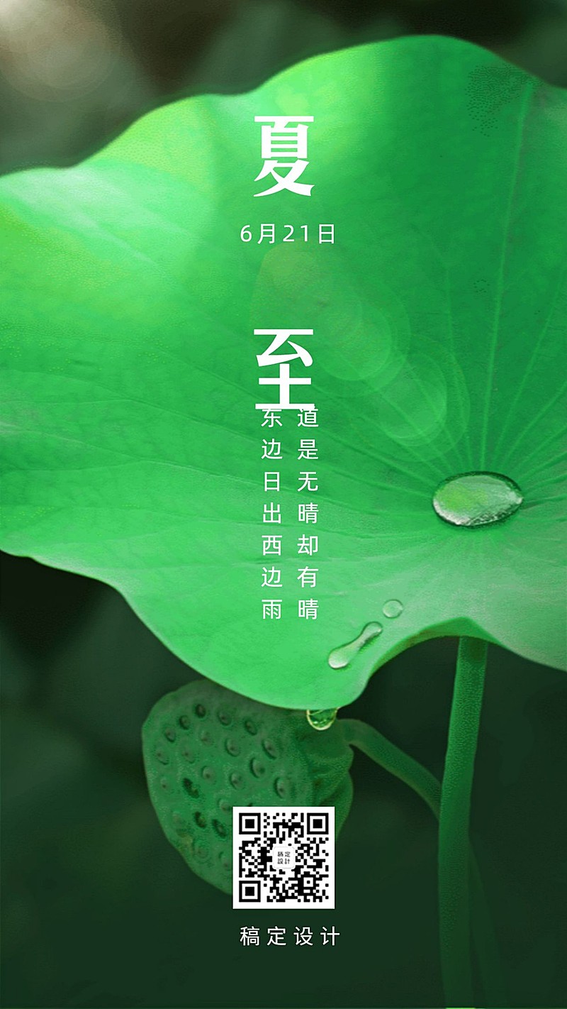 夏至节气荷叶清爽实景手机海报