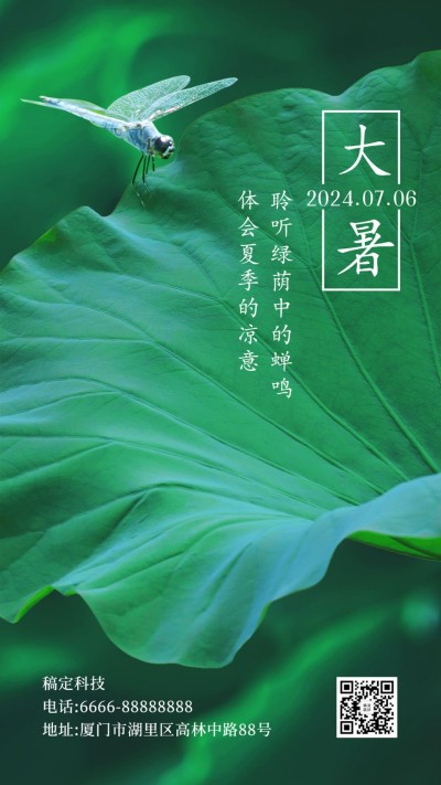 大暑节气荷叶绿植夏日手机海报