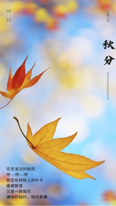 通用秋分节气祝福实景手机海报