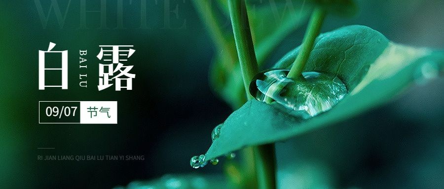 企业实景感白露节气祝福公众号首图预览效果