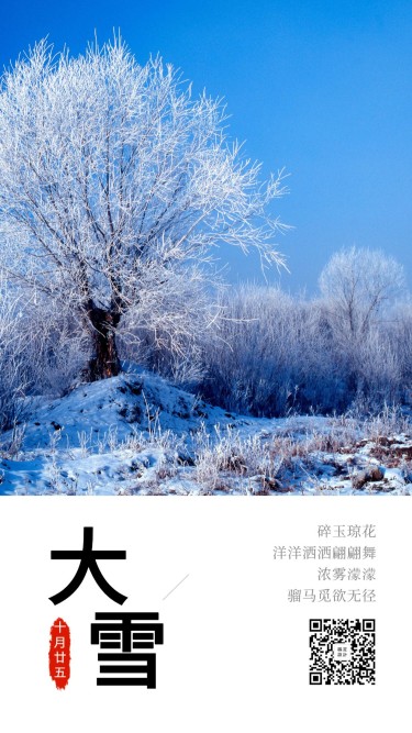 大雪二十四节气实景手机海报