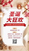 模板缩略图