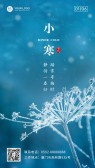 模板缩略图