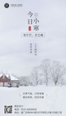 模板缩略图
