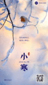 模板缩略图
