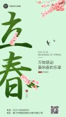 模板缩略图