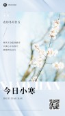 模板缩略图