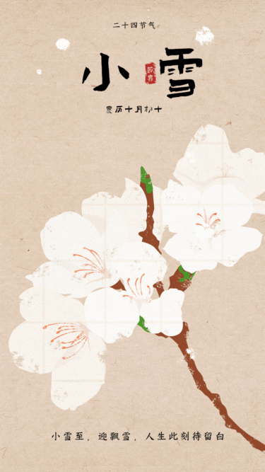 小雪节气花朵GIF动态手机海报