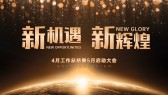 模板缩略图