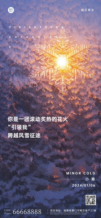 小寒房地产祝福营销简约海报