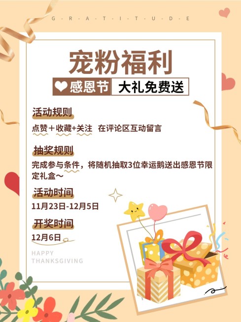 感恩节活动公告小红书配图预览效果