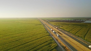 I-5玉米地和牛场之间的交通-空中拍摄