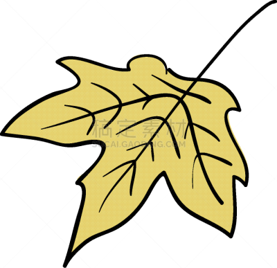 水坑,黄色,秋天,关闭的,枫叶,九月,湿,有叶的,植物群,公园