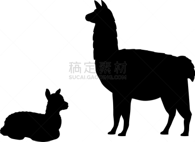 羊驼,美洲驼羊,幼小动物,小的,可爱的,农业,传统,国内著名景点,家庭,剪影