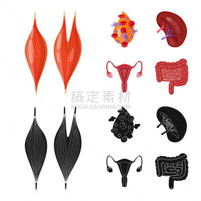 生物学,数学符号,静脉滴注,健康保健,植物群,空肠,顺序,科学,设计,研究