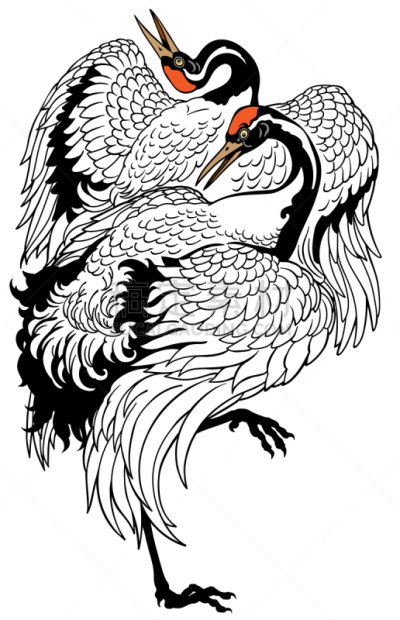 丹顶鹤,舞蹈,两只动物,亚洲,高雅,符号,背景分离,垂直画幅,野生动物,图像