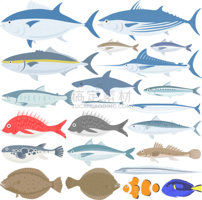绘画插图,鱼类,海洋,鰤鱼,寿司,食品,鲽,成分,鲨鱼,鲣