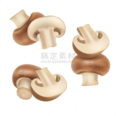 组物体,蘑菇,食用菌,波托贝洛蘑菇,牛肝菌,蔬菜,两个物体,背景分离,食品,熟的