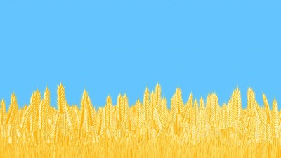 麦田