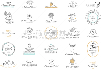 自然,花头,化学元素周期表,华丽的,请柬,华贵,婚礼,模板,现代