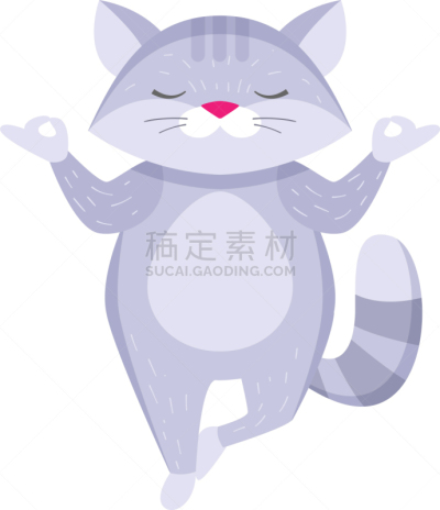 可爱的,位置,浣熊,单腿站着,白色,分离着色,瑜伽,概念
