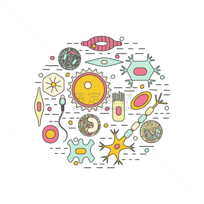 个性,白色,生物学,健康保健,嗜中性粒细胞,显微镜,人,打字,生病