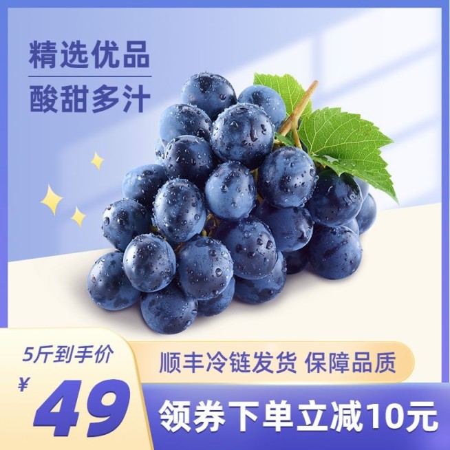 秋上新食品水果葡萄直通车主图预览效果