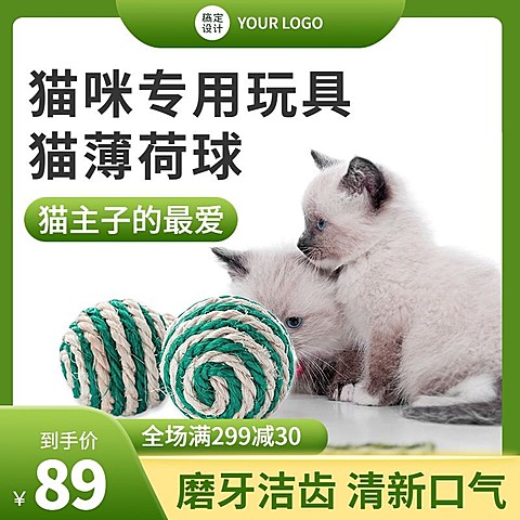 电商宠物玩具商品主图