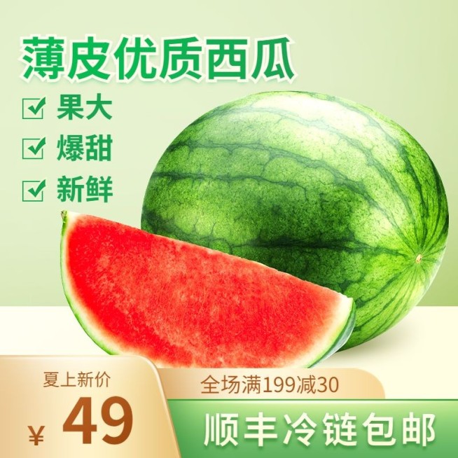 夏上新食品西瓜直通车主图预览效果