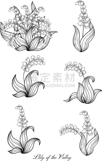 山谷,百合花,传统,浪漫,简单,植物群,铃兰,古董,复古,花
