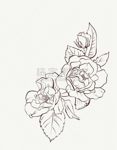 玫瑰,草图,自然,墨水,绘画插图,动物手,绘画作品,铅笔,创造力,垂直画幅