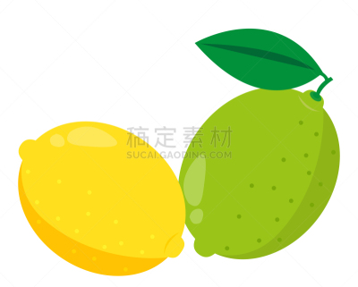 柠檬,绘画插图,矢量,热带水果,精力,清新,食品,浆果,熟的,成分