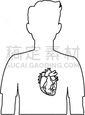 男人,人类心脏,生理学,生物学,矢量,图表,膀胱,图像,剪影,生病